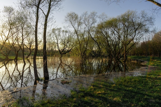 Prachtig landschap van bomen en een meer