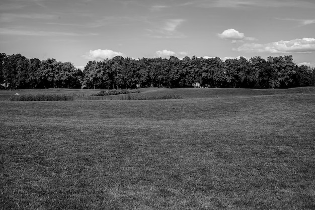 Prachtig landschap van een groene golfbaan en een blauwe lucht. zwart-wit foto