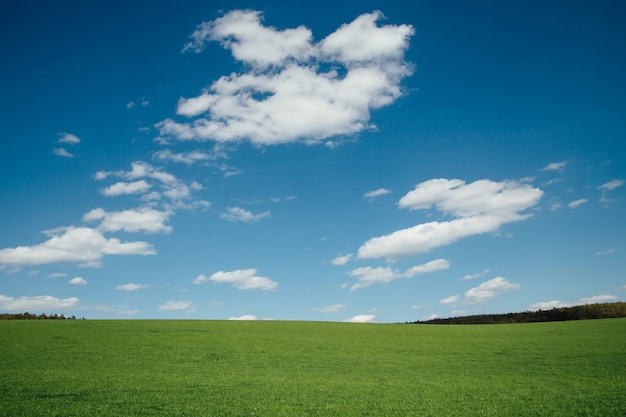 Prachtig landschap van een groot veld van groen gras en blauwe lucht met wolken