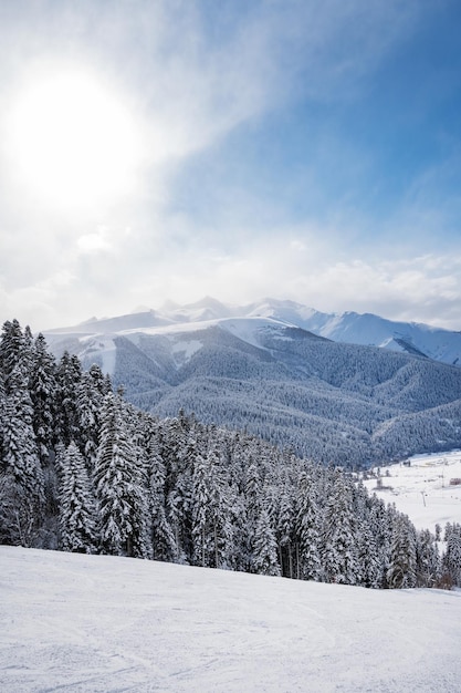 Prachtig landschap van het Arkhyz-skiresort met bergen, sneeuwbos en spoor op een zonnige winterdag Kaukasus-gebergte Rusland verticale oriëntatie