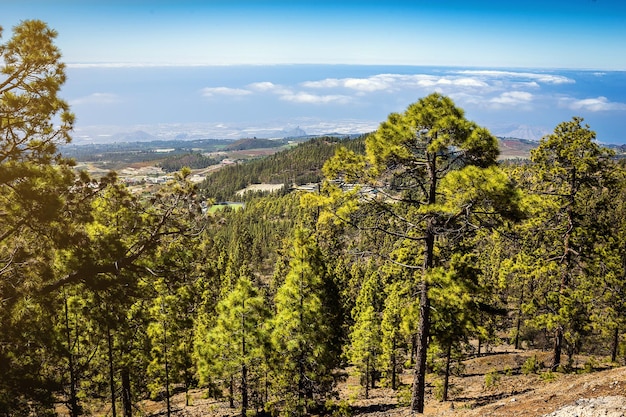 Prachtig landschap van het nationale park Teide, Tenerife, Canarische eiland, Spanje