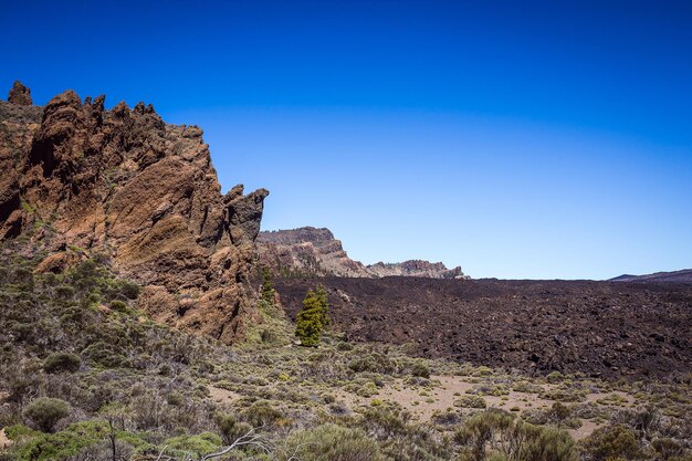 Prachtig landschap van het nationale park Teide, Tenerife, Canarische eiland, Spanje