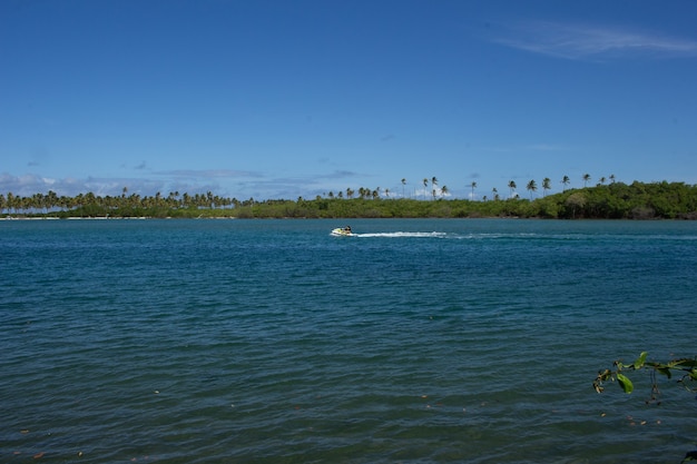 Prachtig landschap van het strand vol kokospalmen en een jetski op een zonnige dag