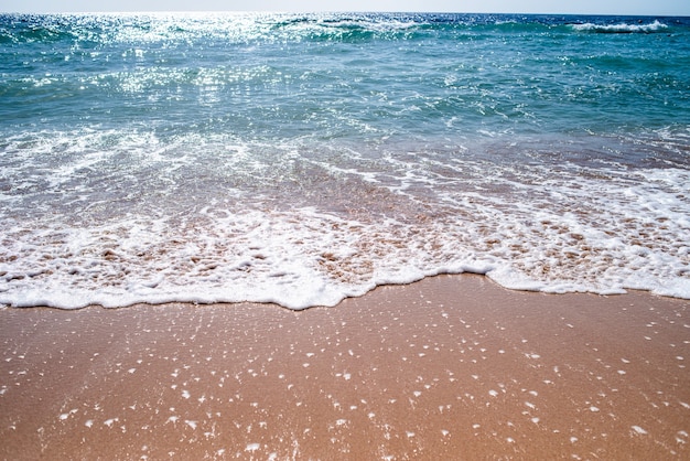 Prachtig landschap van het zand en de zee