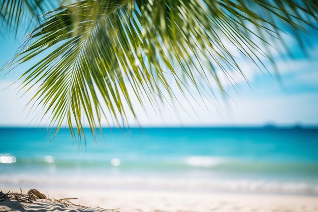 Prachtig landschap van kokospalmbomen op een tropisch strand