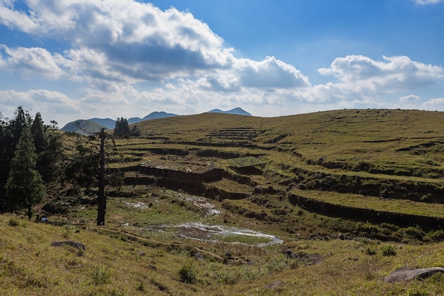 Prachtig landschap van landelijke weide