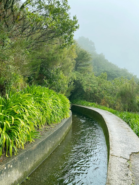 Prachtig landschap van Madeira