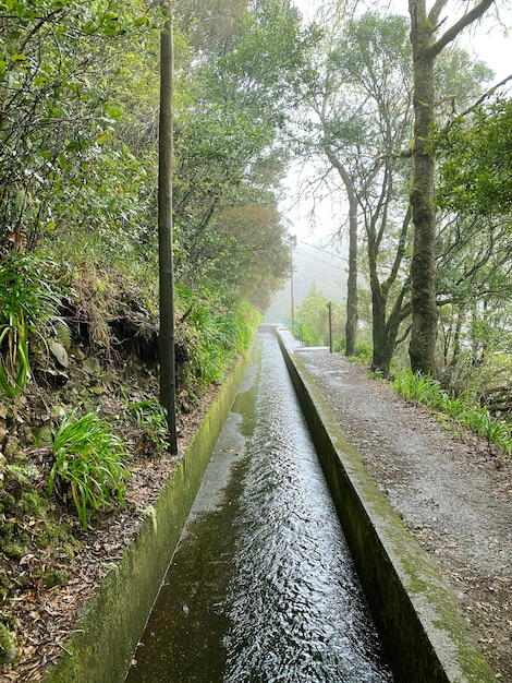 Prachtig landschap van Madeira