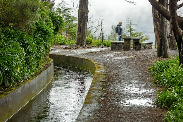 Prachtig landschap van madeira