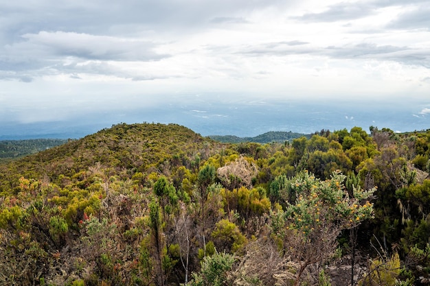 Prachtig landschap van Tanzania en Kenia vanaf de Kilimanjaro-berg. Rotsen, struiken en leeg vulkanisch terrein rond de Kilimanjaro-vulkaan.