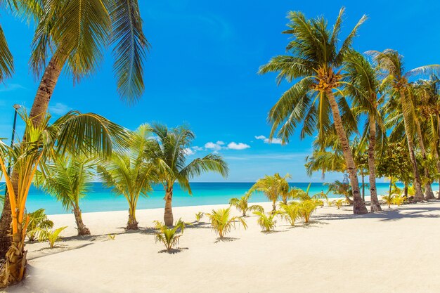 Prachtig landschap van tropisch strand Kokospalmen zee zeilboot en wit zand