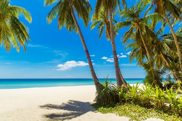 Prachtig landschap van tropisch strand Kokospalmen zee zeilboot en wit zand