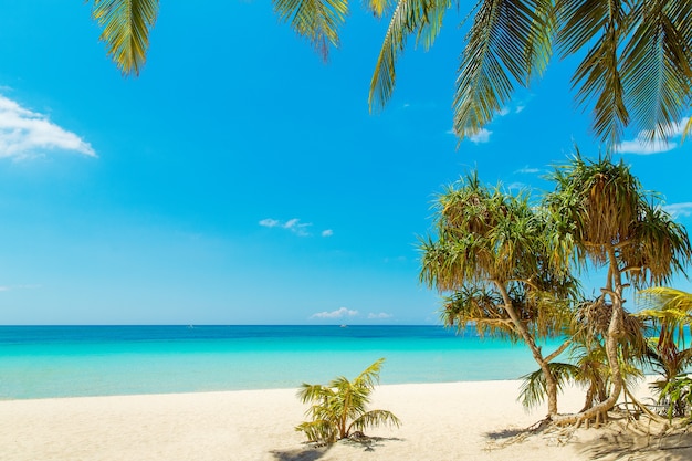 Prachtig landschap van tropisch strand op het eiland Boracay, Filippijnen. Kokospalmen, zee, zeilboot en wit zand. Uitzicht op de natuur. Zomer vakantie concept.