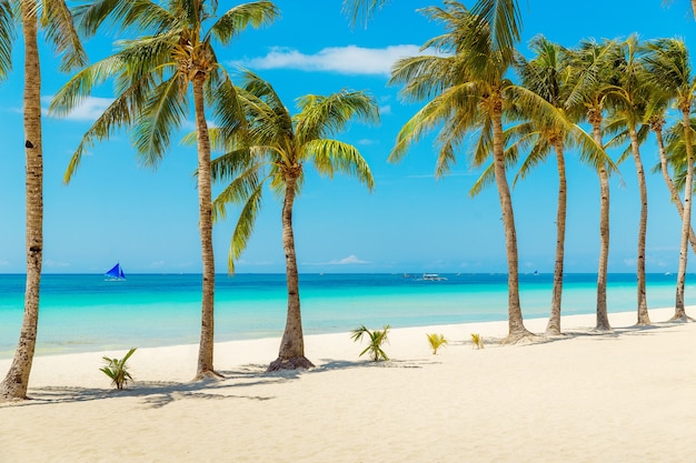 Prachtig landschap van tropisch strand op het eiland Boracay, Filippijnen. Kokospalmen, zee, zeilboot en wit zand. Uitzicht op de natuur. Zomer vakantie concept.