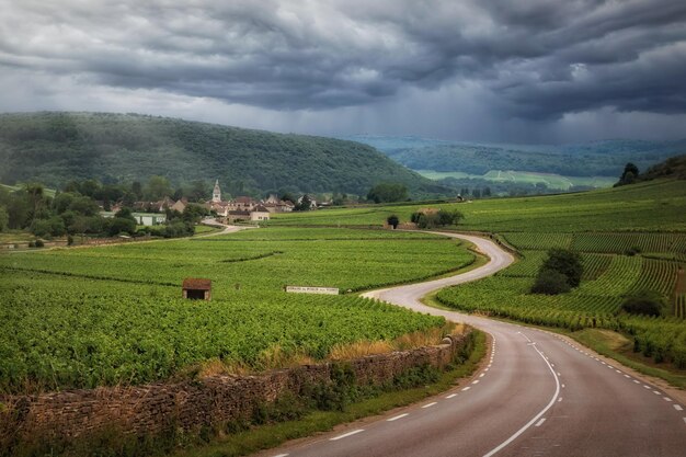 Prachtig landschap