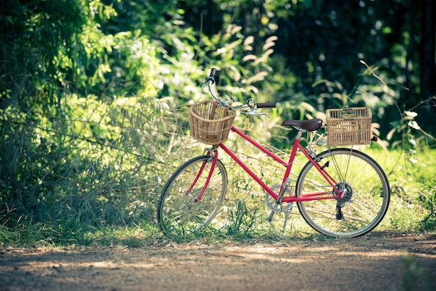 prachtig landschapsbeeld met fiets