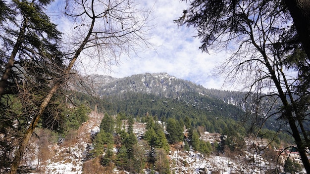 Prachtig landschapsbeeld met sneeuwval in de bergen