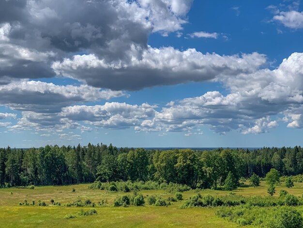 Prachtig landschapslandschap met wild weidebos en expressieve cloudscape Zomerdagscène