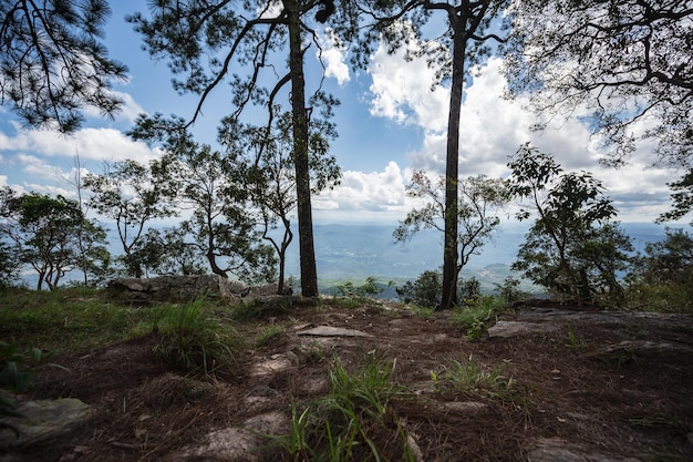 Prachtig landschapsmening van deang cliff op phu kradueng mountain national park in loei city thailandphu kradueng mountain national park de beroemde reisbestemming