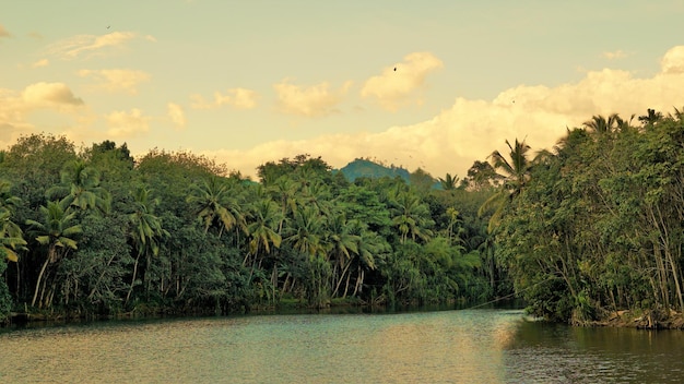 Prachtig landschapsmening van rivier boven Thiruparappu-watervallen Verbazingwekkende natuurlijke achtergrond met kleureffecten Weekendgateway of picknickplek in het district Kanyakumari, Tamilnadu, India