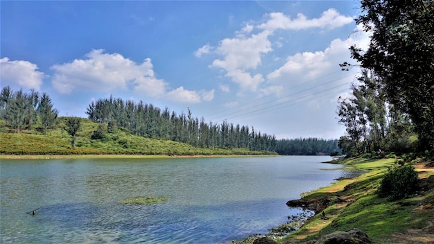 Prachtig landschapsmening van Sandynulla-meer van dennenbos Ooty Tamilnadu India