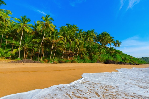 Prachtig landschapsstrand in Goa in India