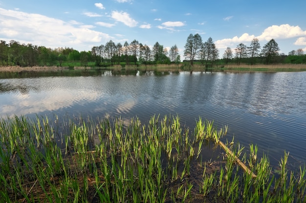 Prachtig lentelandschap met rivier, bomen en blauwe lucht. Samenstelling van de natuur