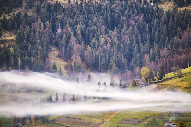 Prachtig lentelandschap Traditioneel bergdorp op heuvels Landelijk Oekraïne Karpaten zonsopgang Rook uit huis Mistwolken Europa