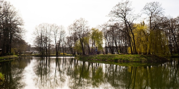 Prachtig lentemeer en bos Lente seizoen Abstracte natuurlijke achtergrond Wazige silhouetten van veel groene lentebomen bladeren reflecteren op vredig oppervlak van riviermeer of plas watervijver