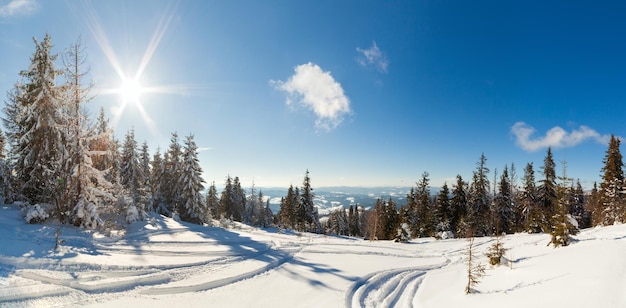 Prachtig majestueus winterlandschap gloeiend door zonlicht winters tafereel Karpaten Oekraïne Europa Schoonheidswereld Gelukkig nieuwjaar