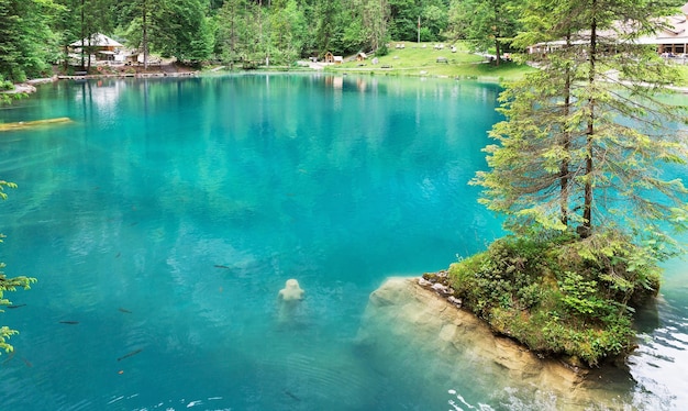 Prachtig meer Blausee