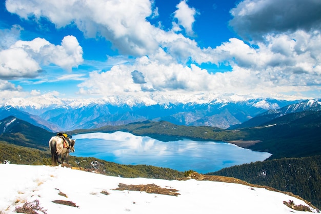 Prachtig meer met besneeuwde bergen Himalaya Rara Lake National Park Mugu Karnali Nepal Green Blue