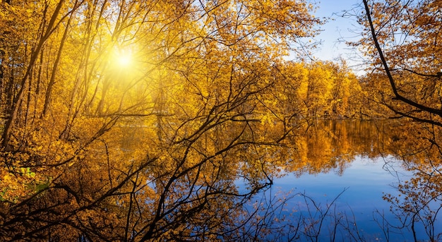 prachtig meer met een bos in de herfst weerspiegeld met een zonnestraal op de achtergrond in hoge resolutie en scherpte