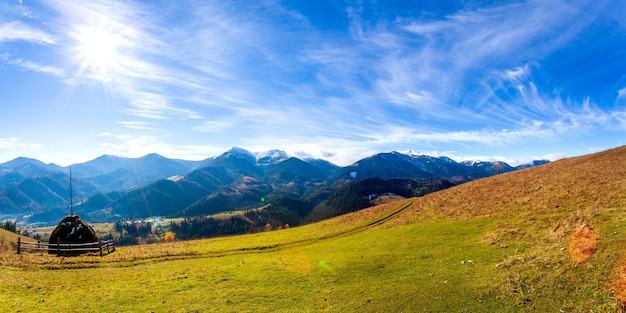 Prachtig mooi landschap met bergen bos en weide met bomen in de Karpaten Oekraïne