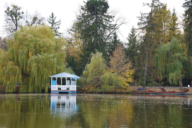 Prachtig natuur landschap in de herfst met uitzicht op het meer op de herfst stadspark met gouden geel