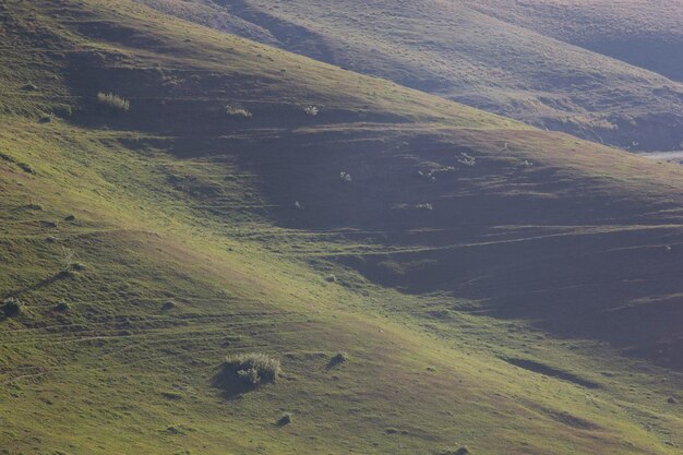 Prachtig natuur mistig berglandschap