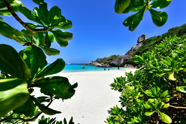 Prachtig natuur zeegezicht van hemelsblauwe zee rots op similan eiland no.8, similan national park, phang nga, thailand