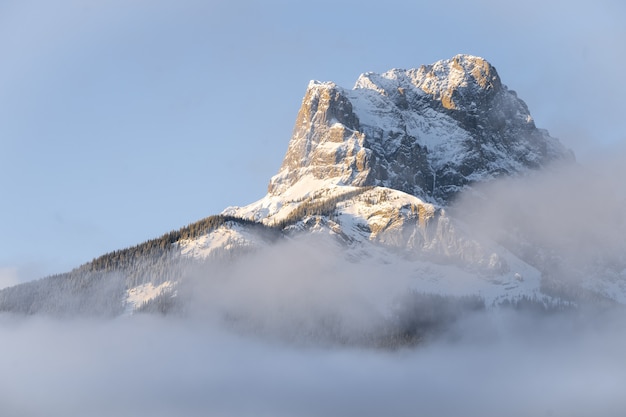 Prachtig natuurlandschap in de buitenlucht