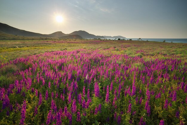 Prachtig natuurlandschap