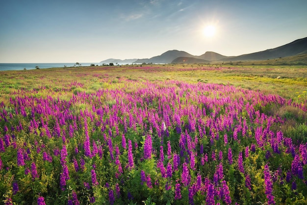 Prachtig natuurlandschap