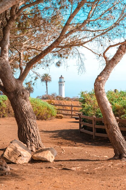 Prachtig natuurlijk landschap aan de kust van Los Angeles bij Point Vicente Lighthouse