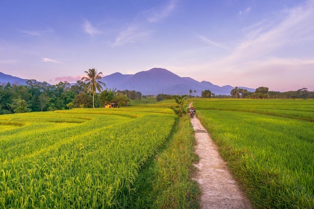 prachtig ochtend uitzicht vanuit Indonesië op bergen en tropisch bos