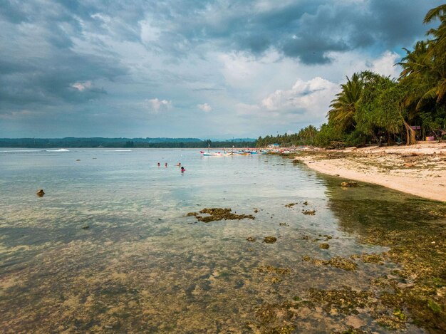 Prachtig ochtendbeeld van Indonesië van bergen en tropisch bos.