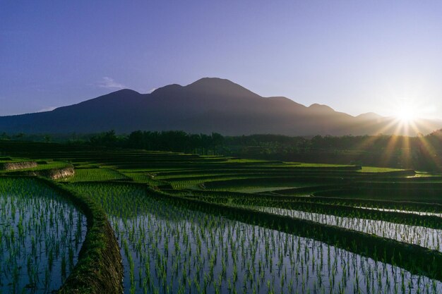 Prachtig ochtendbeeld van Indonesië van bergen en tropisch bos.