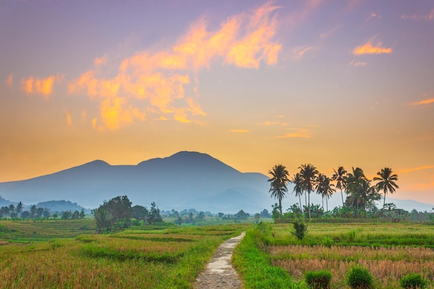Foto prachtig ochtendbeeld van indonesië van bergen en tropisch bos.