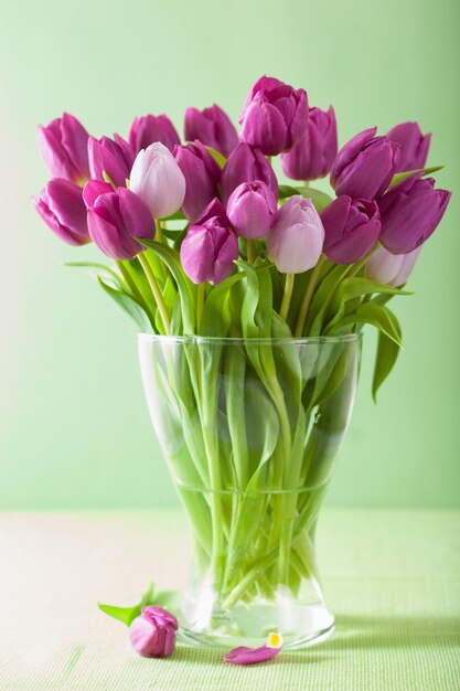 Prachtig paars tulpenboeket in vaas