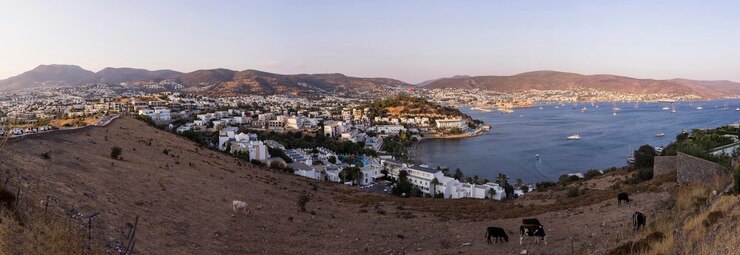 Prachtig panorama met op de voorgrond de grazende koeien van Bodrum.