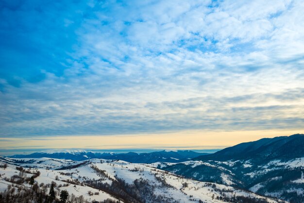 Prachtig panorama van berghellingen met paden met uitzicht op de heuvels en naaldbossen bewolkt en ijzig op een winteravond. wintertoerisme en vrije tijd concept. advertentie ruimte