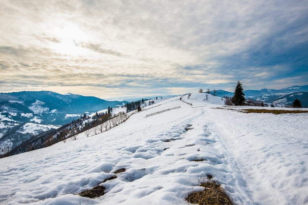 Prachtig panorama van berghellingen met paden met uitzicht op de heuvels en naaldbossen bewolkt en ijzig op een winteravond