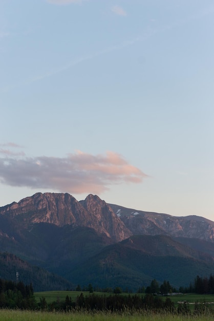 Foto prachtig panorama van de poolse capratian-bergen in zakopane bij zonsondergang prachtig groen gras